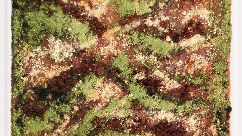 Camouflage: una lepre nel bosco. Dal civet al cioccolato, dalle erbe alle spezie – Chef Massimo Bottura