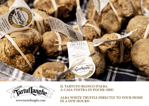 Come Pulire e Conservare il Tartufo?