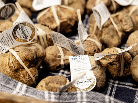 Tartuflanghe, il Tartufo è POP - 12 febbraio 2021