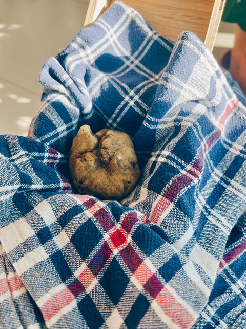 Perché il Tartufo si avvolge sempre in un canovaccio blu? La curiosa storia di una tradizione secolare