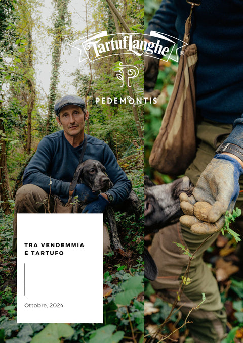 Tra Vendemmia e Tartufo