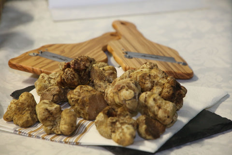 Tvthek.orf.at - Il Tartufo Bianco del Piemonte - Novembre 2021