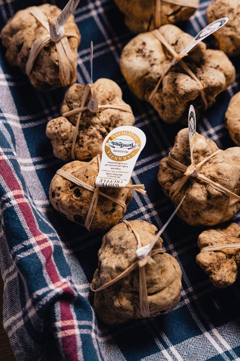 Tartufo Fresco