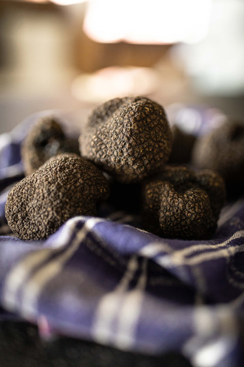 Uncinatum Truffle - Tuber Uncinatum 100g