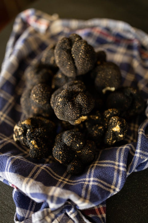 Tartufo Nero Estivo - Tuber aestivum Vitt. 100g
