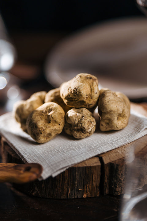 Alba White Truffle - Tuber magnatum Pico 30g