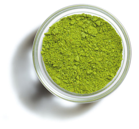 PESTO in polvere