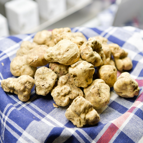 Alba White Truffle - Tuber magnatum Pico 30g
